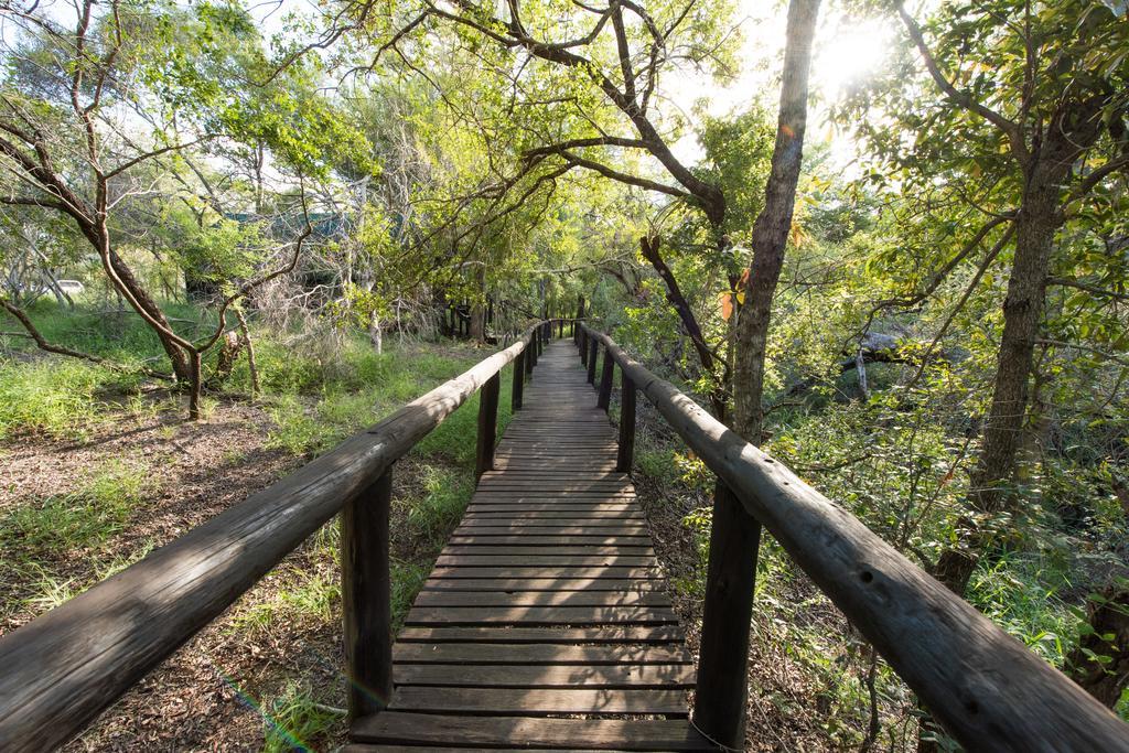 Ndzhaka Tented Camp Wildreservat Manyeleti Exterior foto