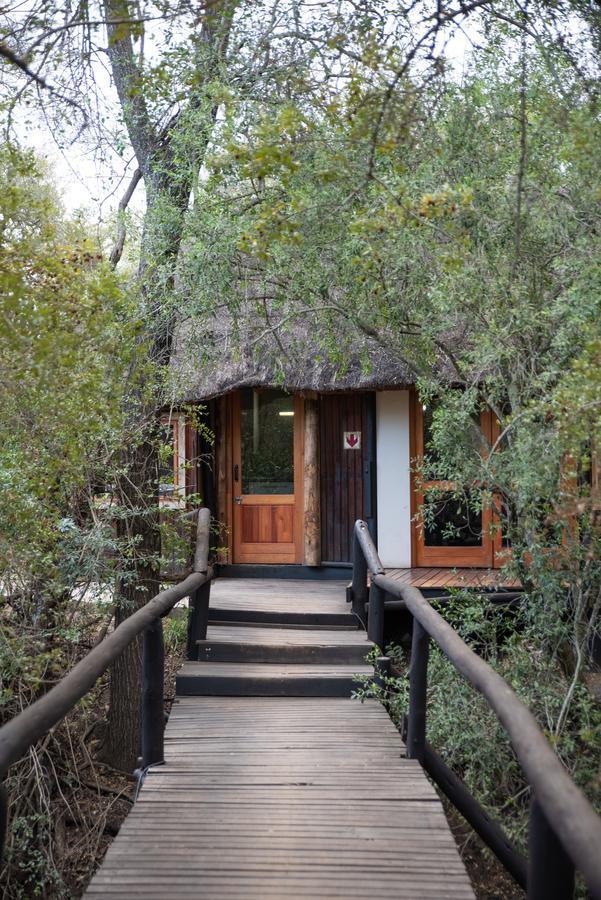 Ndzhaka Tented Camp Wildreservat Manyeleti Exterior foto